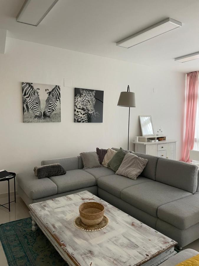 Stadtsuite Mit Sauna In Wiener Neustadt 135 M2 Ngoại thất bức ảnh