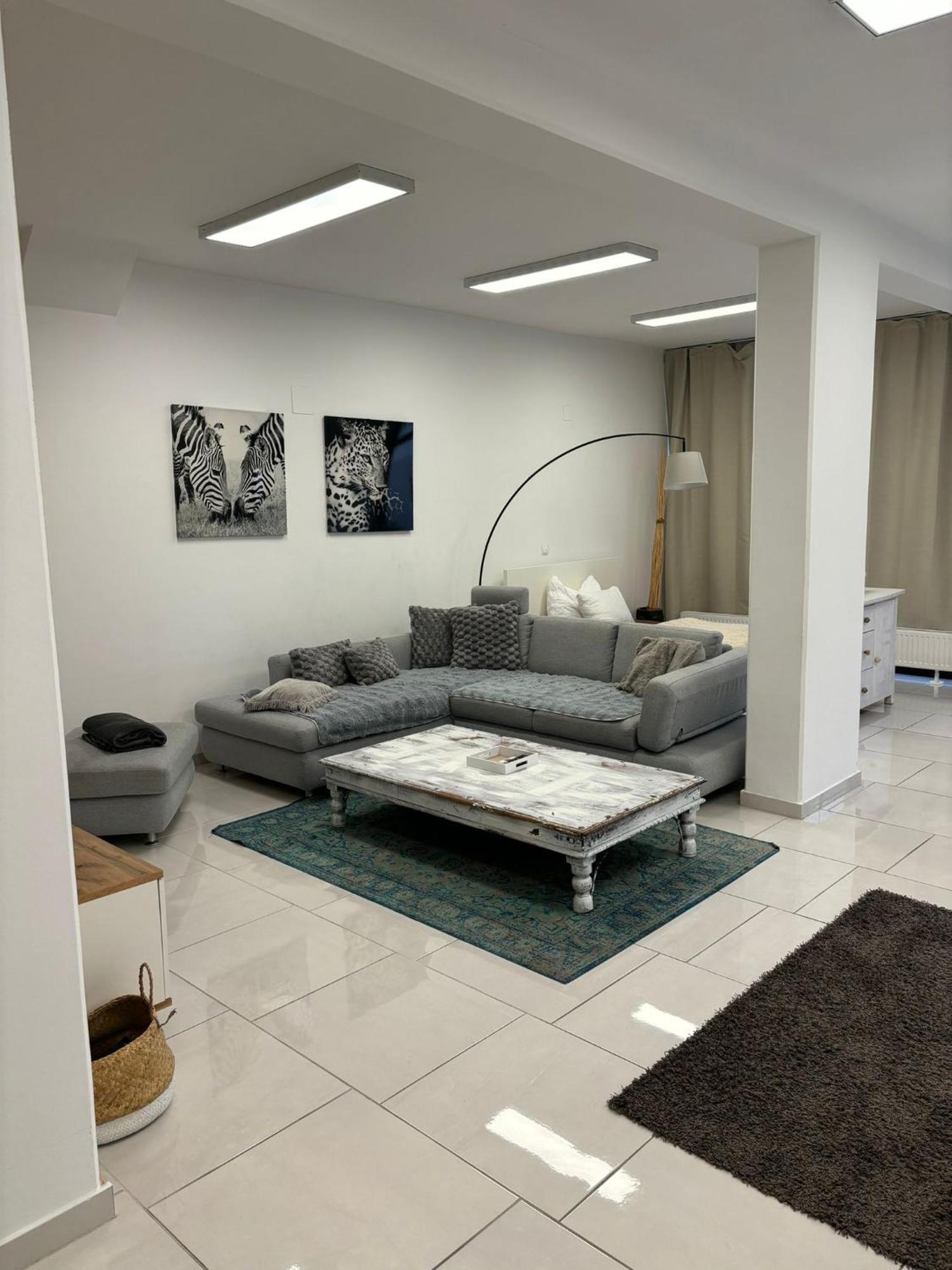 Stadtsuite Mit Sauna In Wiener Neustadt 135 M2 Ngoại thất bức ảnh